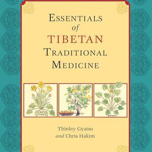 Essentials of Tibetan Traditional Medicine Thinley Gyatso Chris Hakim Paperback
